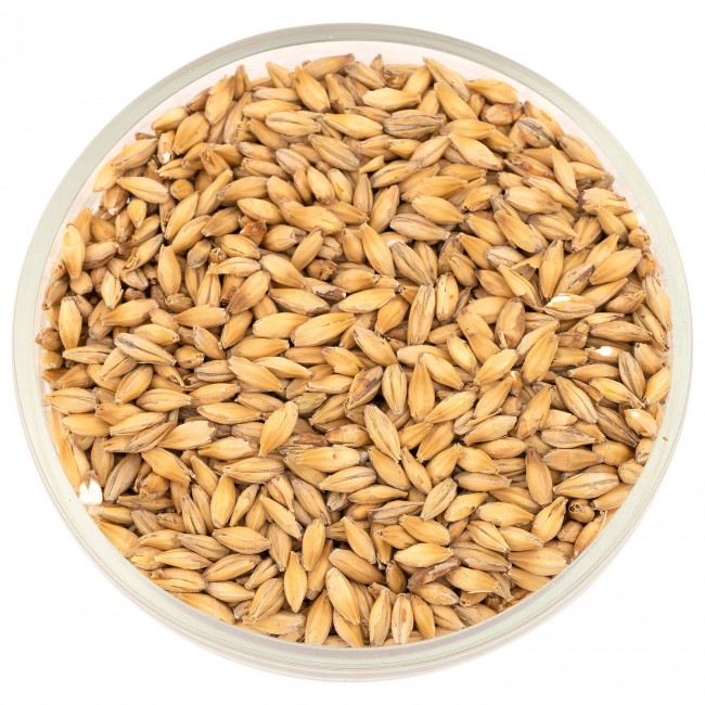 Солод Белсолод "Пилсен" Солод Белсолод "Пилсен"