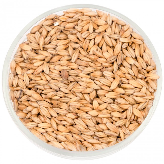 Солод Шато Кара Клэр (Cara Clair) 8 EBC Солод Шато Кара Клэр (Cara Clair) 8 EBC