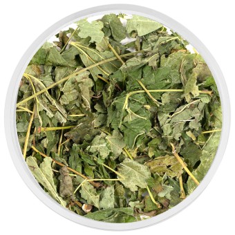 Смородина черная лист 50 гр. Смородина черная лист 50 гр.