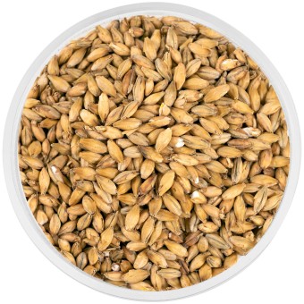 Солод Курск "Висковый" Солод Курск "Висковый"