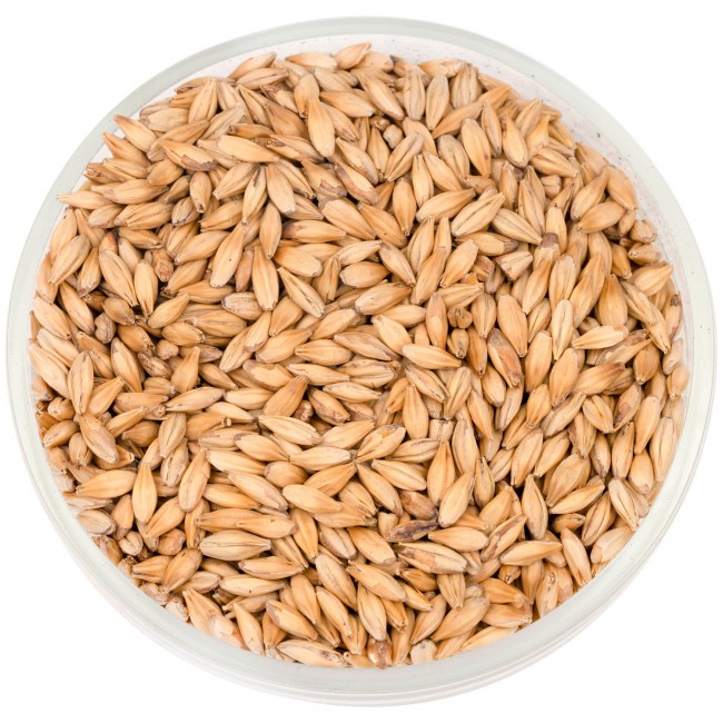 Солод Шато Кара Руби (Cara Ruby) 50 EBC Солод Шато Кара Руби (Cara Ruby) 50 EBC