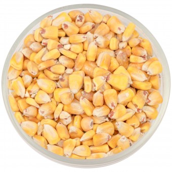 Кукуруза Кукуруза