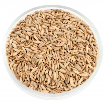 Солод ржаной Солод ржаной