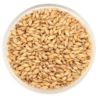 Солод Курск "Копченый" на торфе Солод Курск "Копченый" на торфе