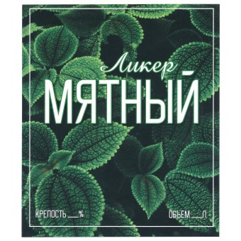 Этикетка самоклеящаяся "Ликер Мятный" 85*100 мм Этикетка самоклеящаяся "Ликер Мятный" 85*100 мм