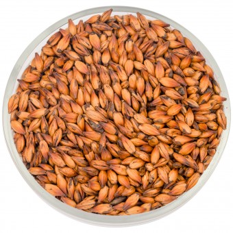 Солод Курск "Карамельный 250" Солод Курск "Карамельный 250"