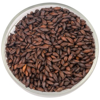 Солод Soufflet "Жженый Блэк 1200-1400" Солод Soufflet "Жженый Блэк 1200-1400"