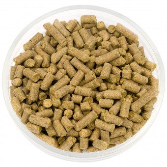 Хмель Уилламет (Willamette) 5,1% 50 гр. Хмель Уилламет (Willamette) 5,1% 50 гр.