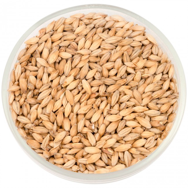 Солод Шато Диастатик (Diastatic) 3.5 EBC Солод Шато Диастатик (Diastatic) 3.5 EBC